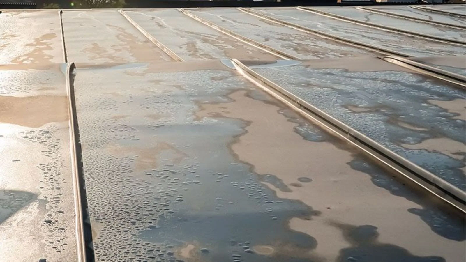Ponding Water Roof Repair in Bozeman, MT