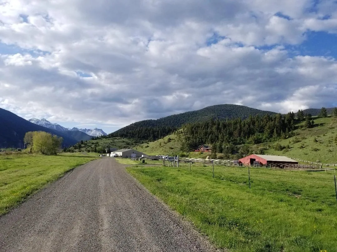 Commercial Roofing in Springhill, MT