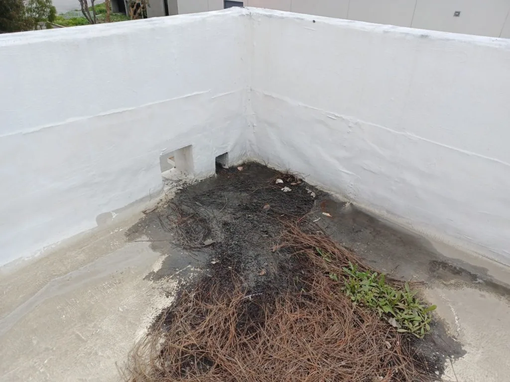 Roof Drains, Scuppers and Ponding Correction in Bozeman, MT